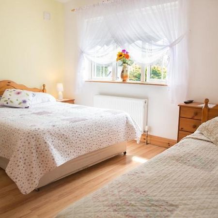 Shannon Breeze B&B キラロー エクステリア 写真