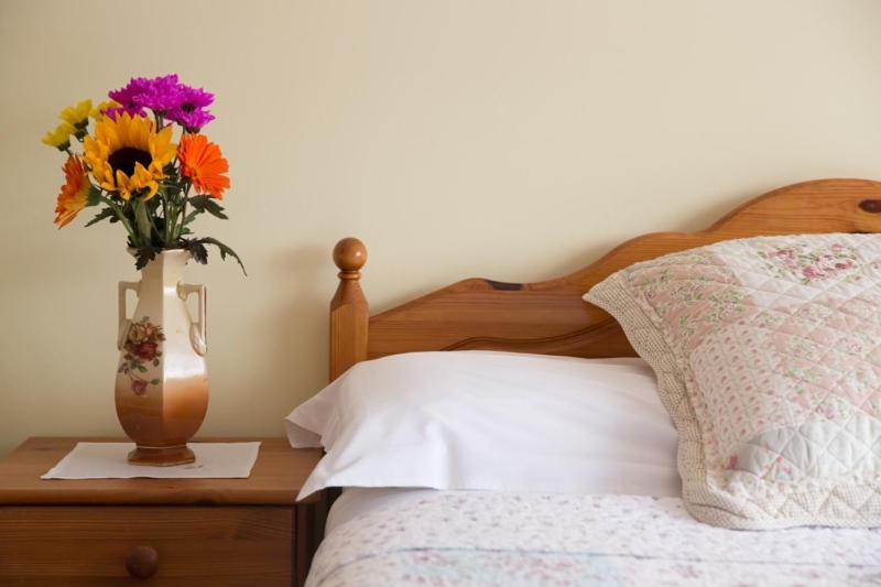Shannon Breeze B&B キラロー エクステリア 写真