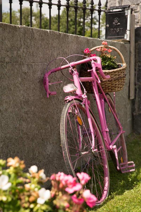 Shannon Breeze B&B キラロー エクステリア 写真